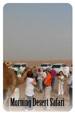 Morning desert safari dubai